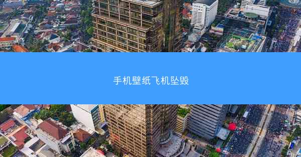 手机壁纸飞机坠毁