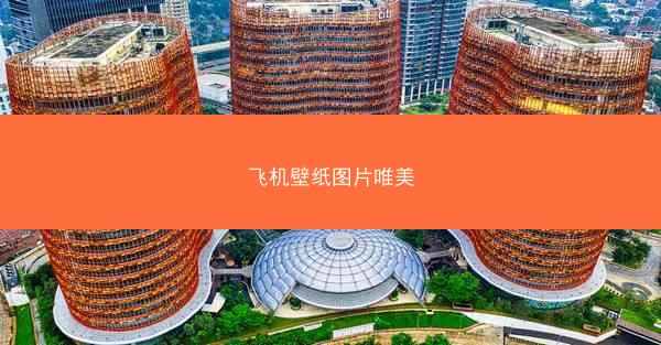 飞机壁纸图片唯美