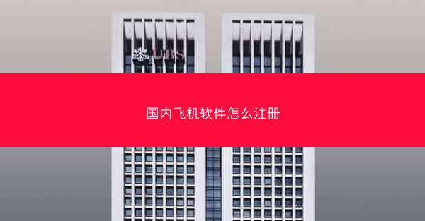 国内飞机软件怎么注册
