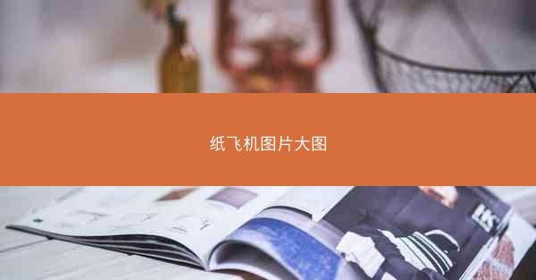 纸飞机图片大图