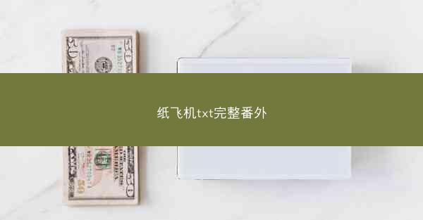 纸飞机txt完整番外