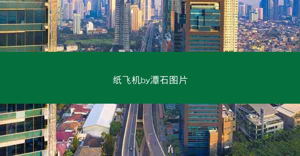 纸飞机by潭石图片