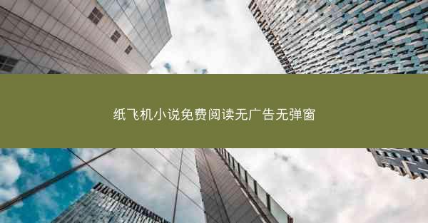 纸飞机小说免费阅读无广告无弹窗