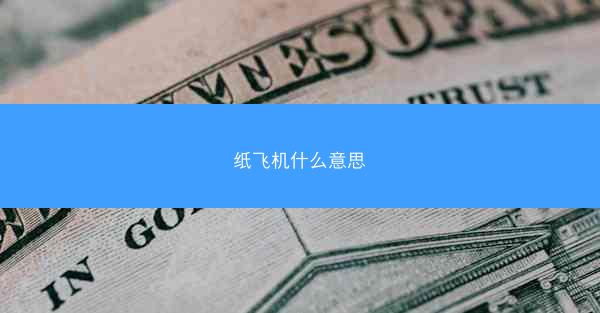 纸飞机什么意思