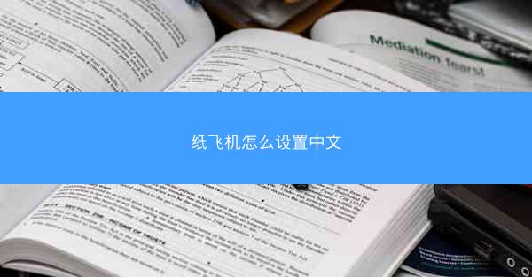纸飞机怎么设置中文