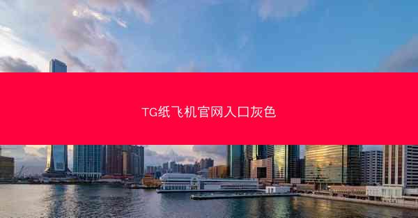 TG纸飞机官网入口灰色