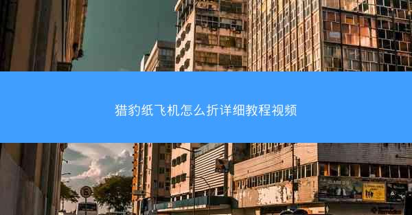 猎豹纸飞机怎么折详细教程视频