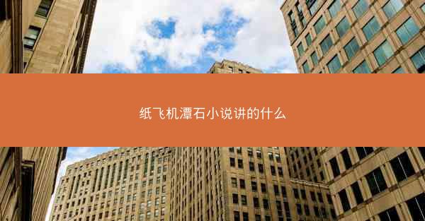 纸飞机潭石小说讲的什么