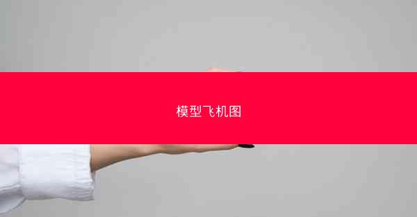 模型飞机图