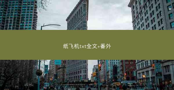 纸飞机txt全文+番外