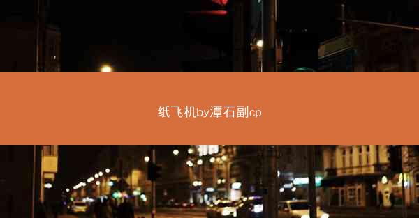 纸飞机by潭石副cp