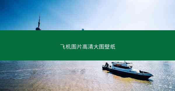 飞机图片高清大图壁纸