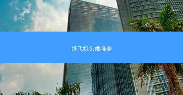 纸飞机头像唯美