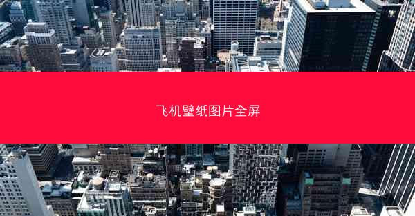 飞机壁纸图片全屏