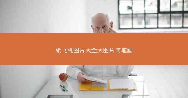 纸飞机图片大全大图片简笔画
