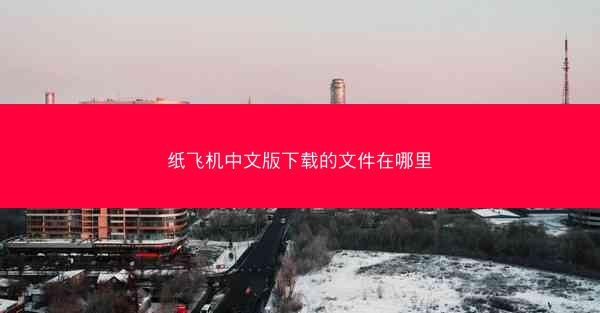纸飞机中文版下载的文件在哪里