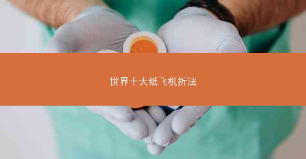 世界十大纸飞机折法