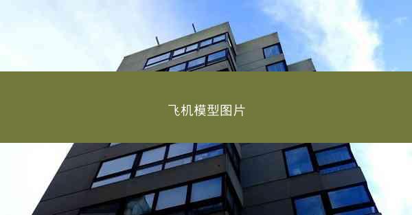 飞机模型图片