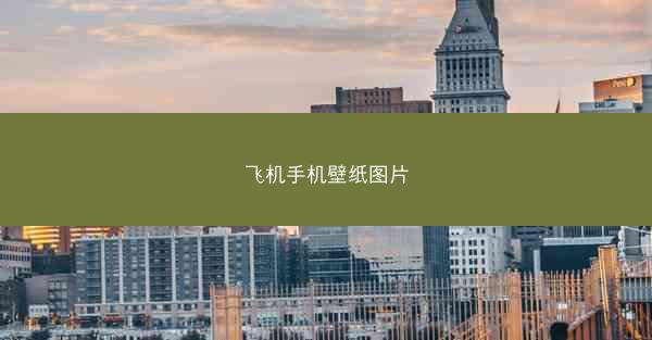 飞机手机壁纸图片