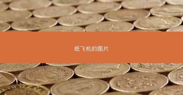 纸飞机的图片