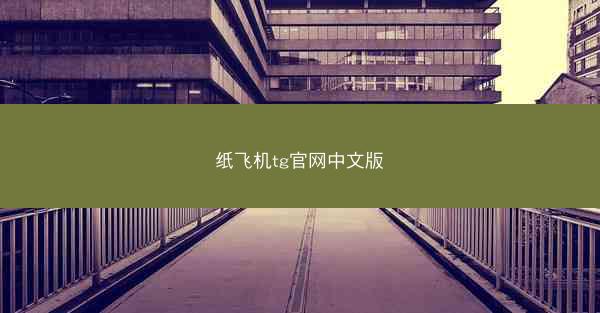 纸飞机tg官网中文版