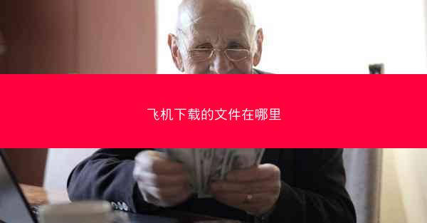 飞机下载的文件在哪里