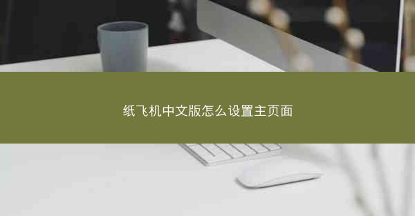 纸飞机中文版怎么设置主页面