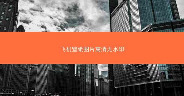 飞机壁纸图片高清无水印