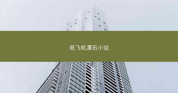 纸飞机潭石小说