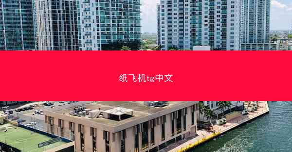纸飞机tg中文