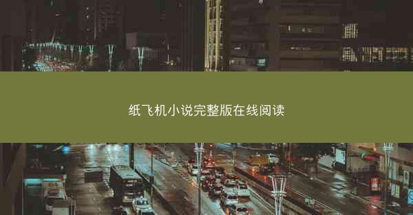纸飞机小说完整版在线阅读