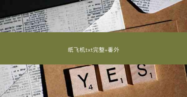 纸飞机txt完整+番外