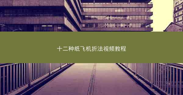十二种纸飞机折法视频教程