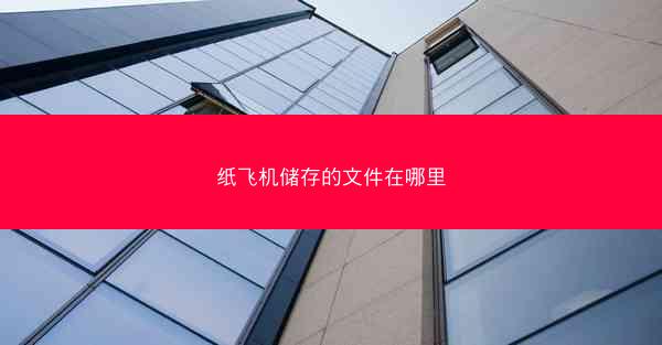 纸飞机储存的文件在哪里