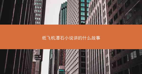 纸飞机潭石小说讲的什么故事