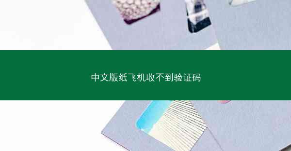 中文版纸飞机收不到验证码