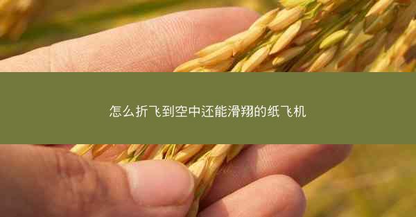 怎么折飞到空中还能滑翔的纸飞机