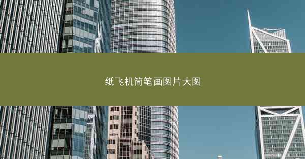 纸飞机简笔画图片大图