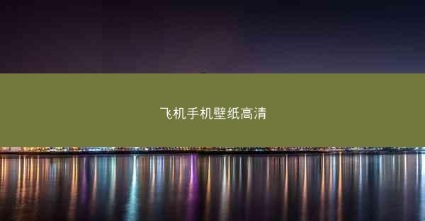 飞机手机壁纸高清