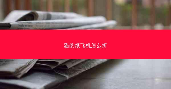 猎豹纸飞机怎么折