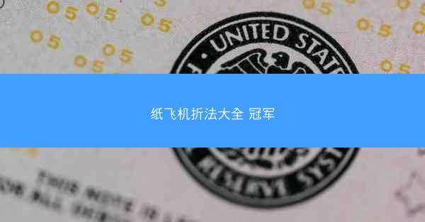 纸飞机折法大全 冠军