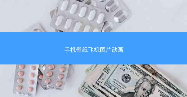 手机壁纸飞机图片动画