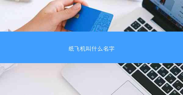纸飞机叫什么名字