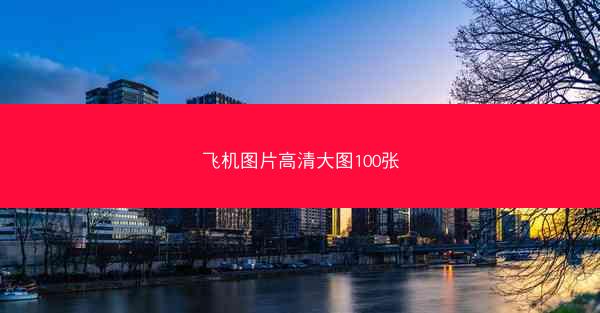 飞机图片高清大图100张
