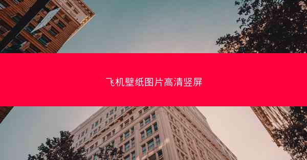 飞机壁纸图片高清竖屏