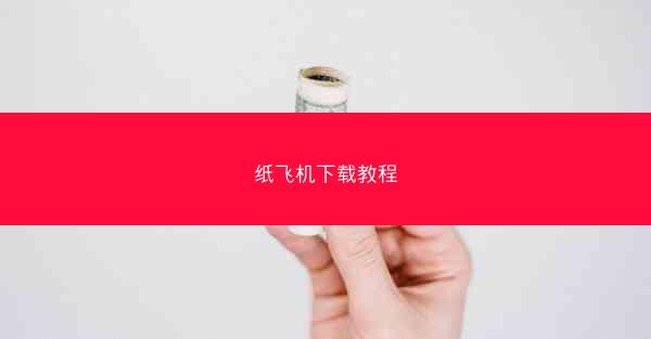 纸飞机下载教程