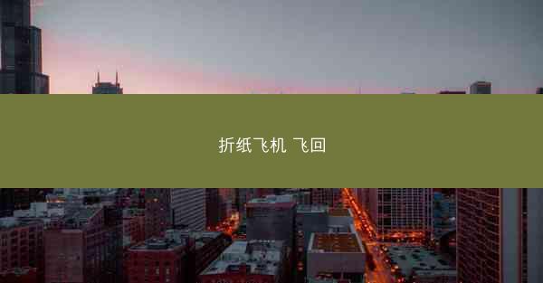 折纸飞机 飞回