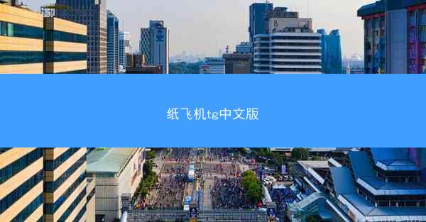 纸飞机tg中文版