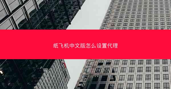 纸飞机中文版怎么设置代理