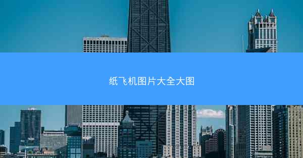 纸飞机图片大全大图